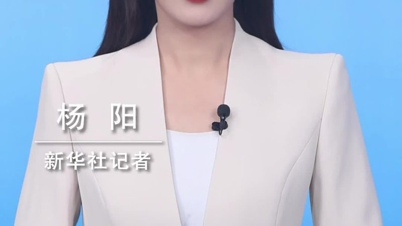 微服务架构面试中的高频技术要点解析
